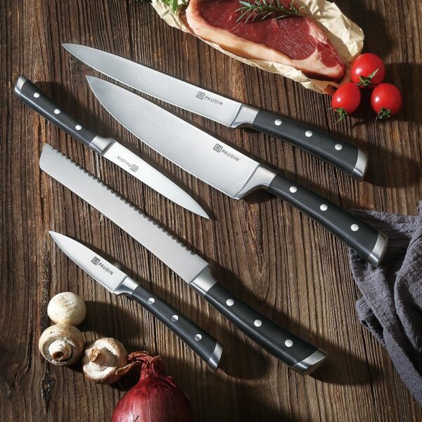 edc.id pisau dapur paudin kitchen knife 5 in 1 knife block set