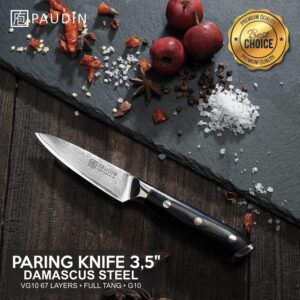 edc.id pisau dapur paudin C7 kitchen paring knife 67 layers VG10 Damascus steel