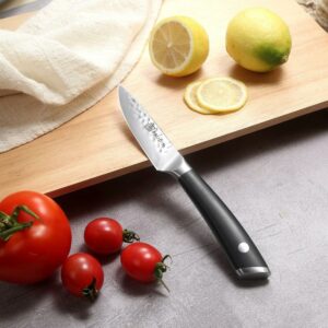 edc.id pisau dapur paudin HP5 kitchen paring knife