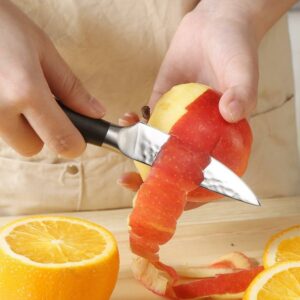 edc.id pisau dapur paudin HP5 kitchen paring knife