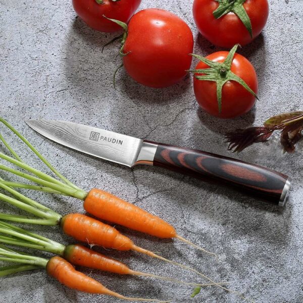 edc.id pisau dapur paudin N8 kitchen paring knife