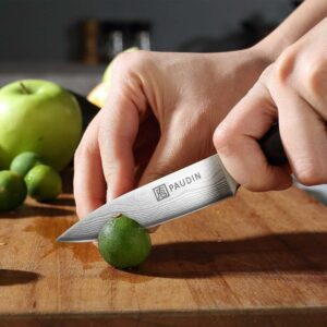 edc.id pisau dapur paudin N8 kitchen paring knife