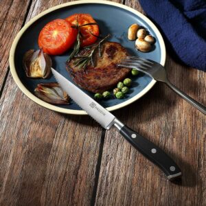 edc.id pisau steak paudin S2 kitchen steak knife