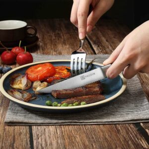 edc.id pisau steak paudin S2 kitchen steak knife