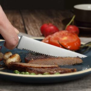 edc.id pisau steak paudin S2 kitchen steak knife